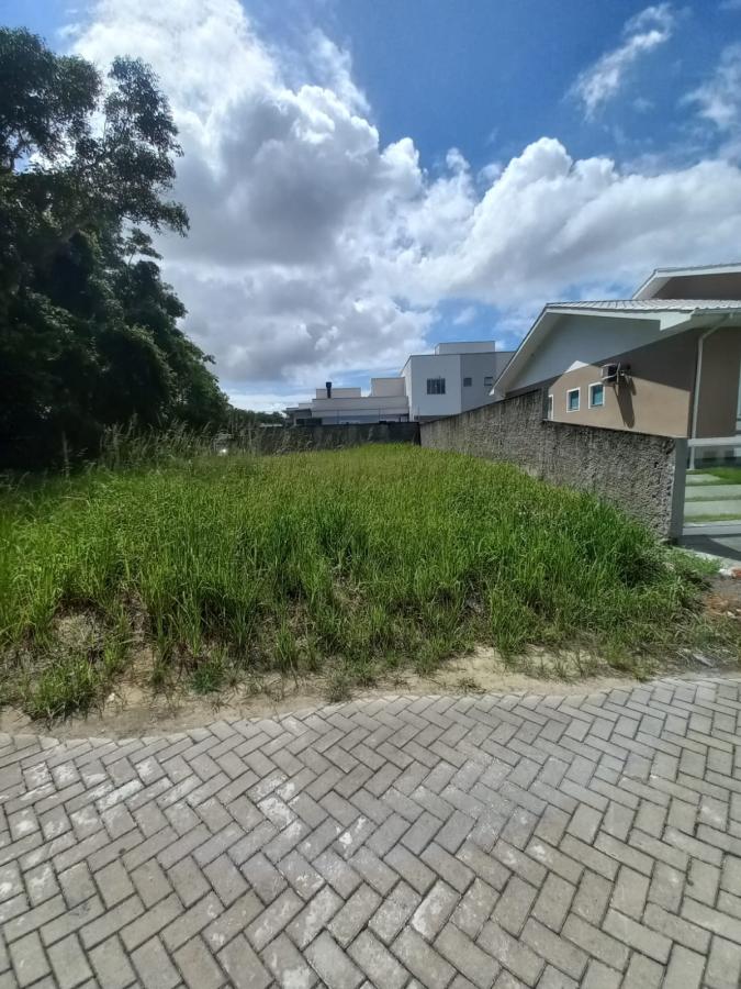 Terreno à venda, 239m² - Foto 3