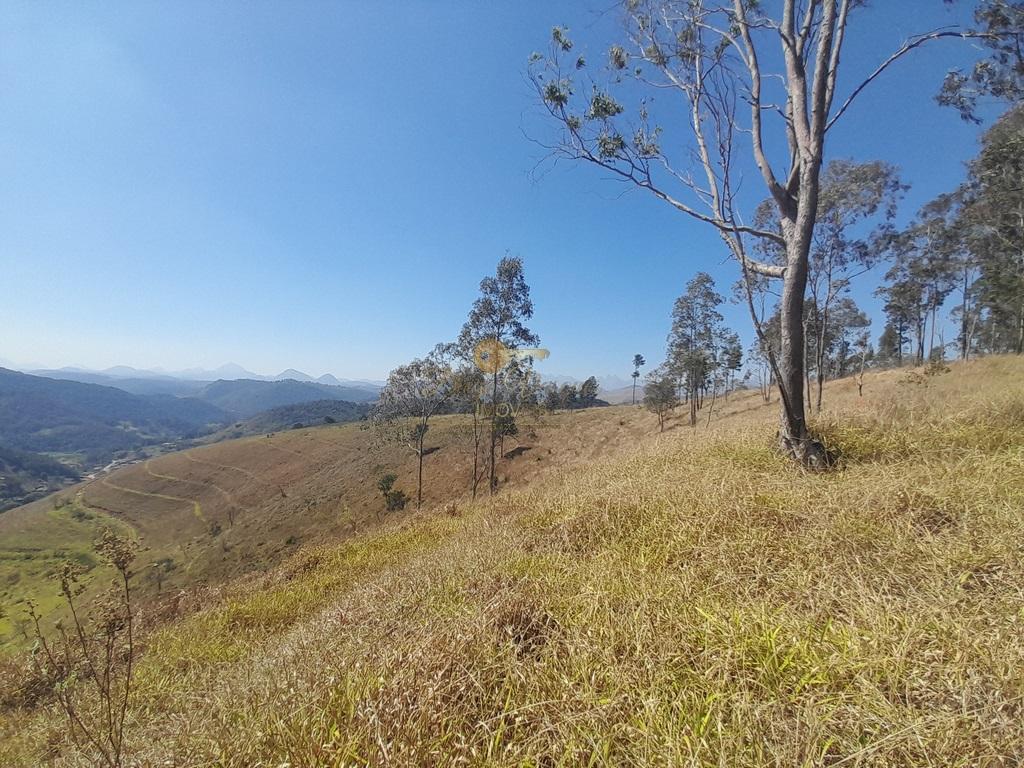 Fazenda à venda com 6 quartos, 387200m² - Foto 11