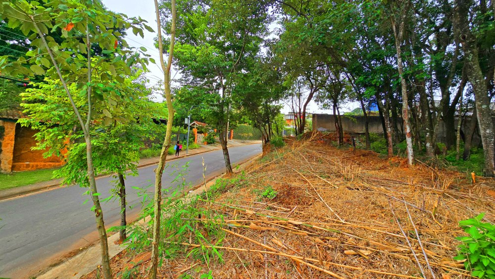 Terreno à venda, 2855m² - Foto 13