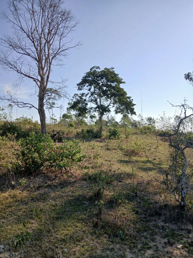 Fazenda à venda com 1 quarto, 96000m² - Foto 10