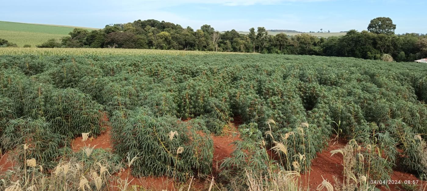 Fazenda à venda, 10000m² - Foto 3