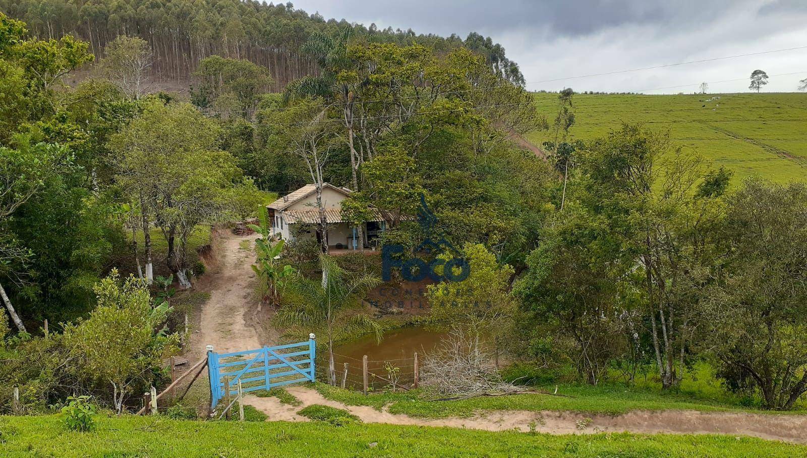 Sítio à venda com 2 quartos, 169400M2 - Foto 1