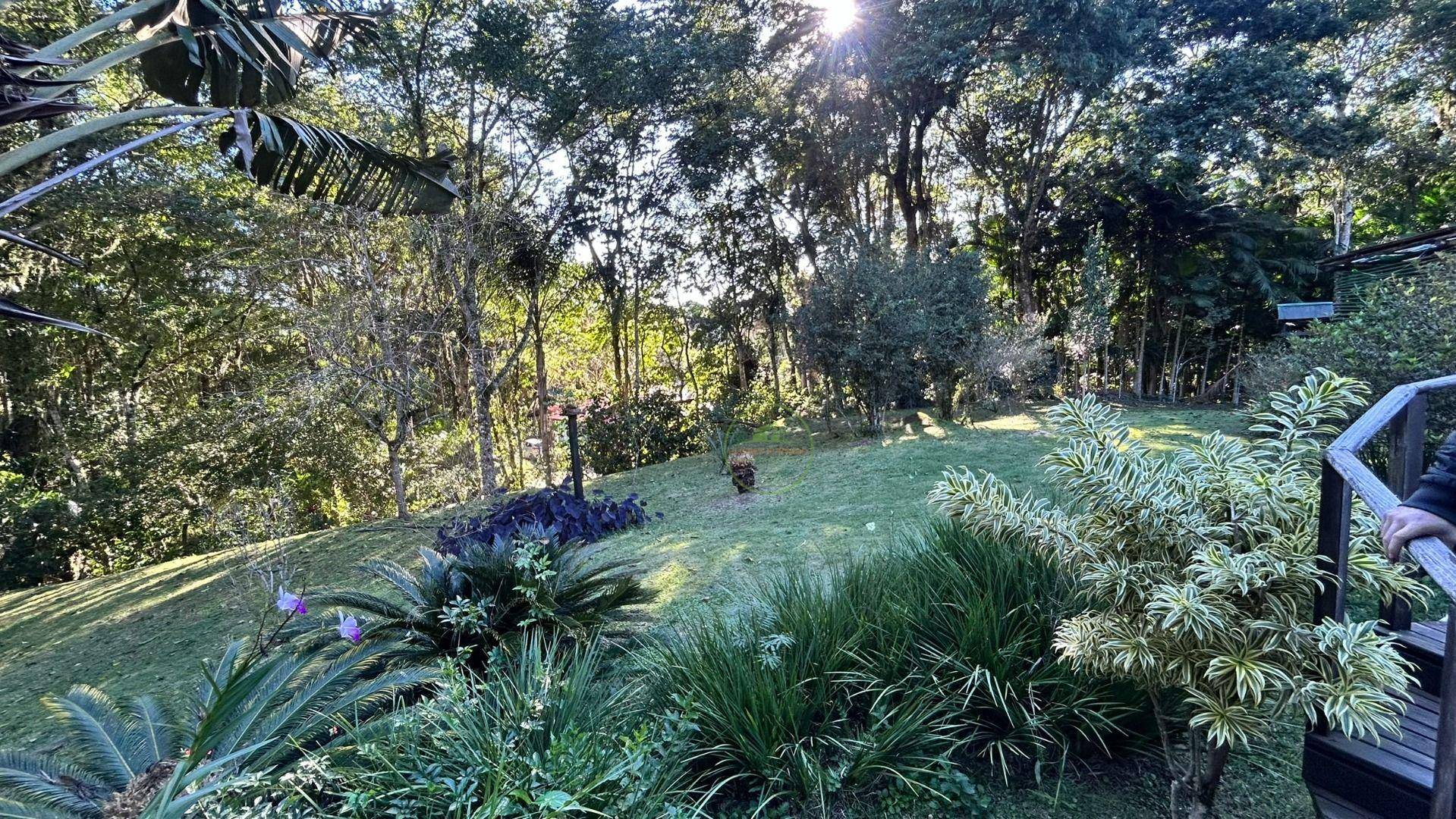 Sítio, 14 hectares - Foto 42