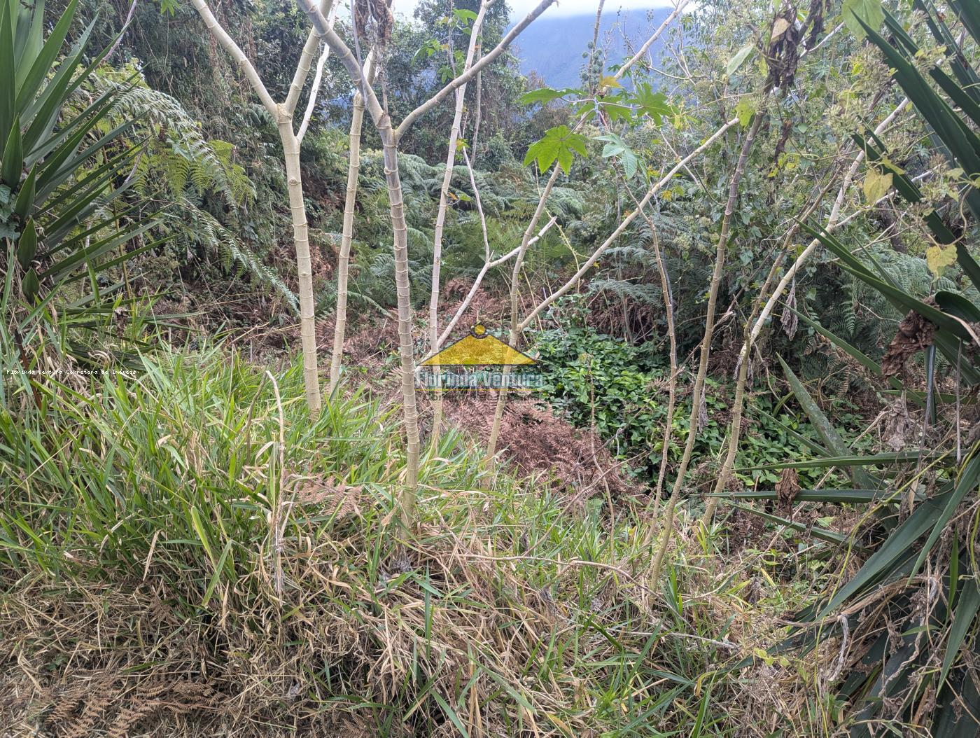 Terreno à venda, 1900m² - Foto 1