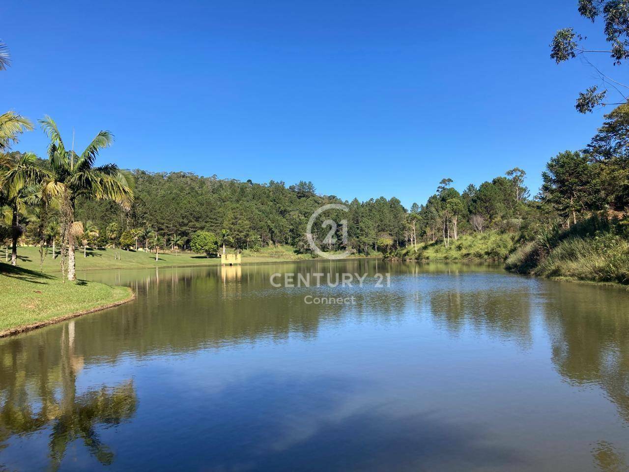 Fazenda-Sítio-Chácara, 18 hectares - Foto 5