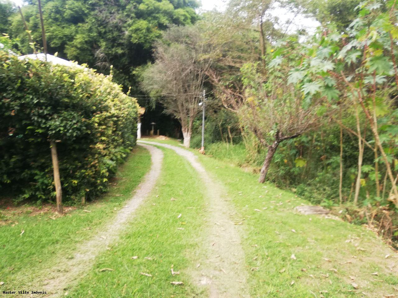 Fazenda à venda com 3 quartos, 11000m² - Foto 34