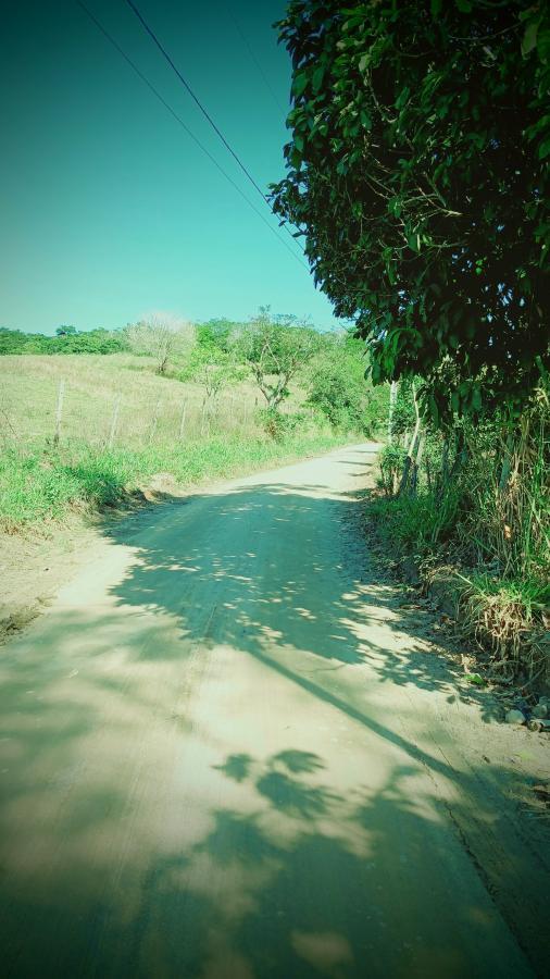 Fazenda à venda com 1 quarto, 10000m² - Foto 10