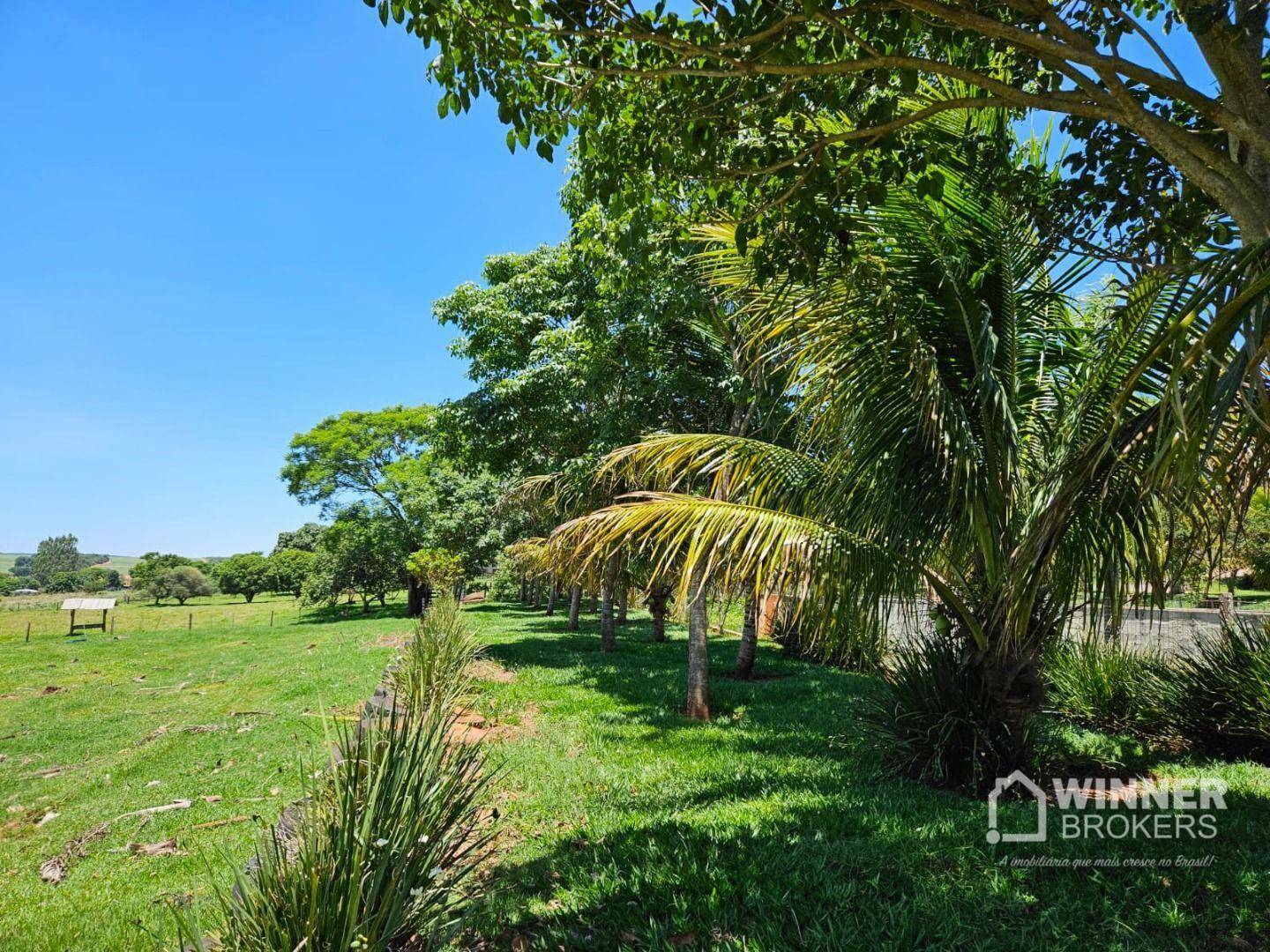 Sítio à venda e aluguel com 2 quartos, 70000M2 - Foto 43