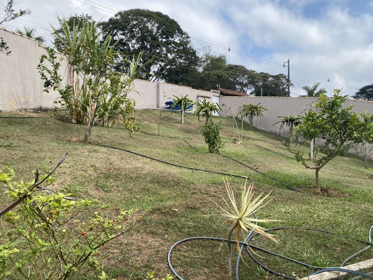 Sítio, 4 quartos, 5434 m² - Foto 2