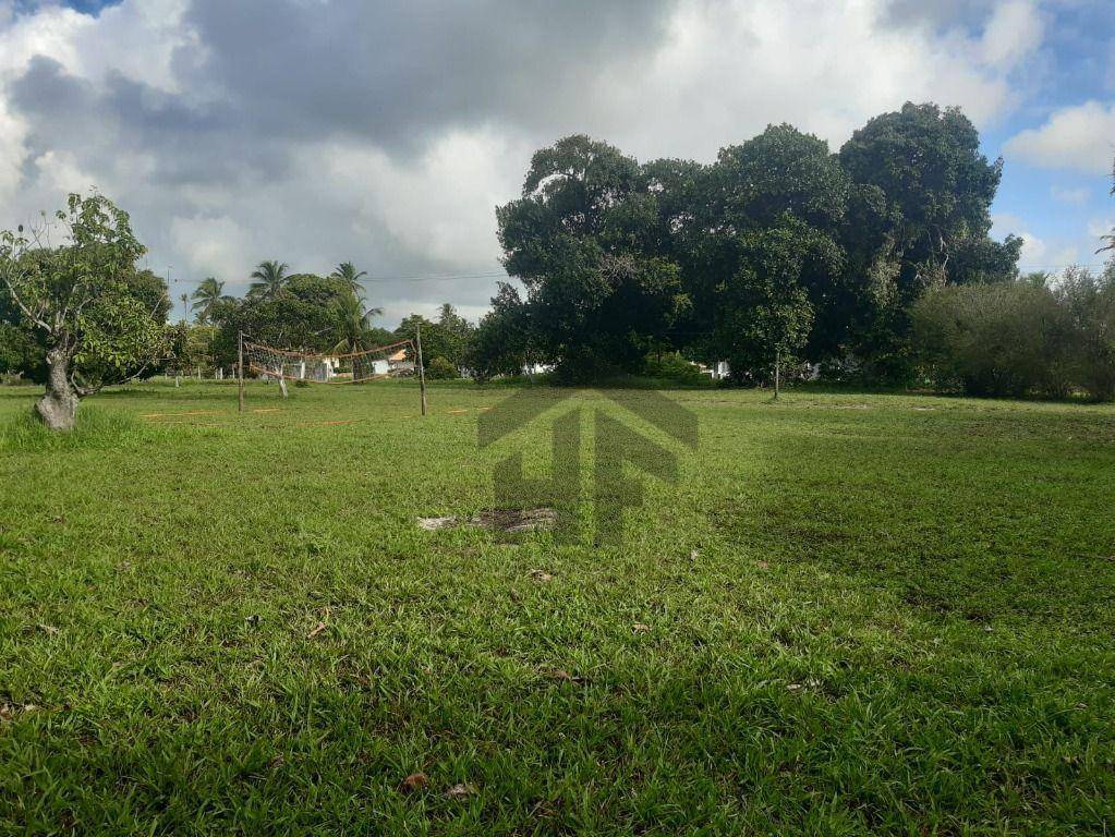 Terreno, 5 hectares - Foto 3