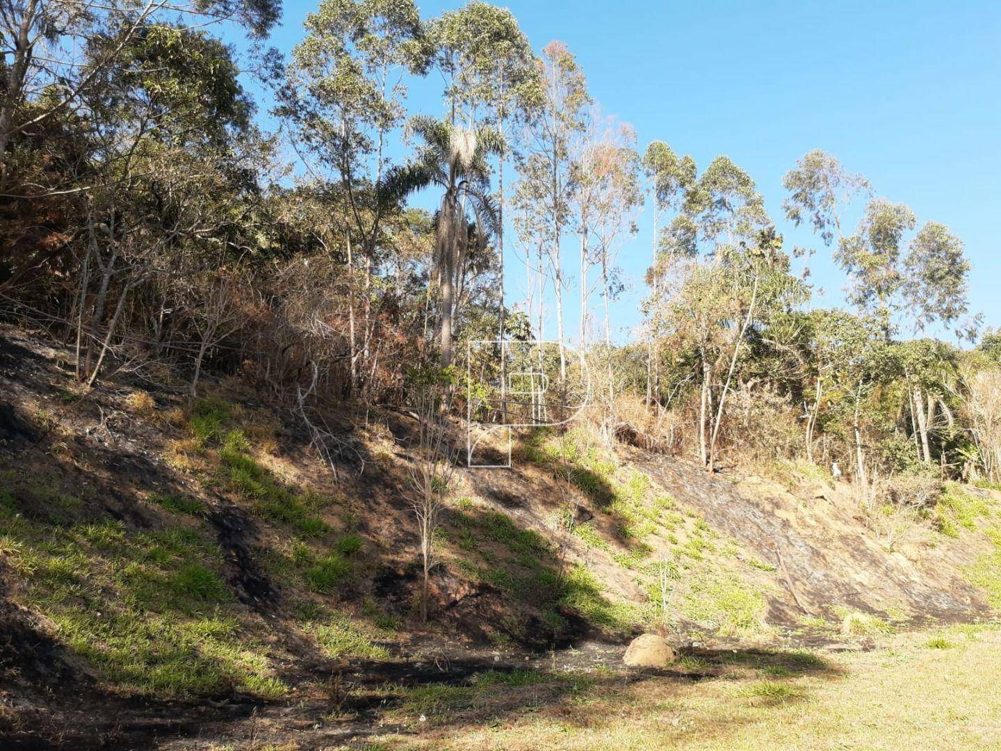 Terreno à venda, 20000M2 - Foto 10