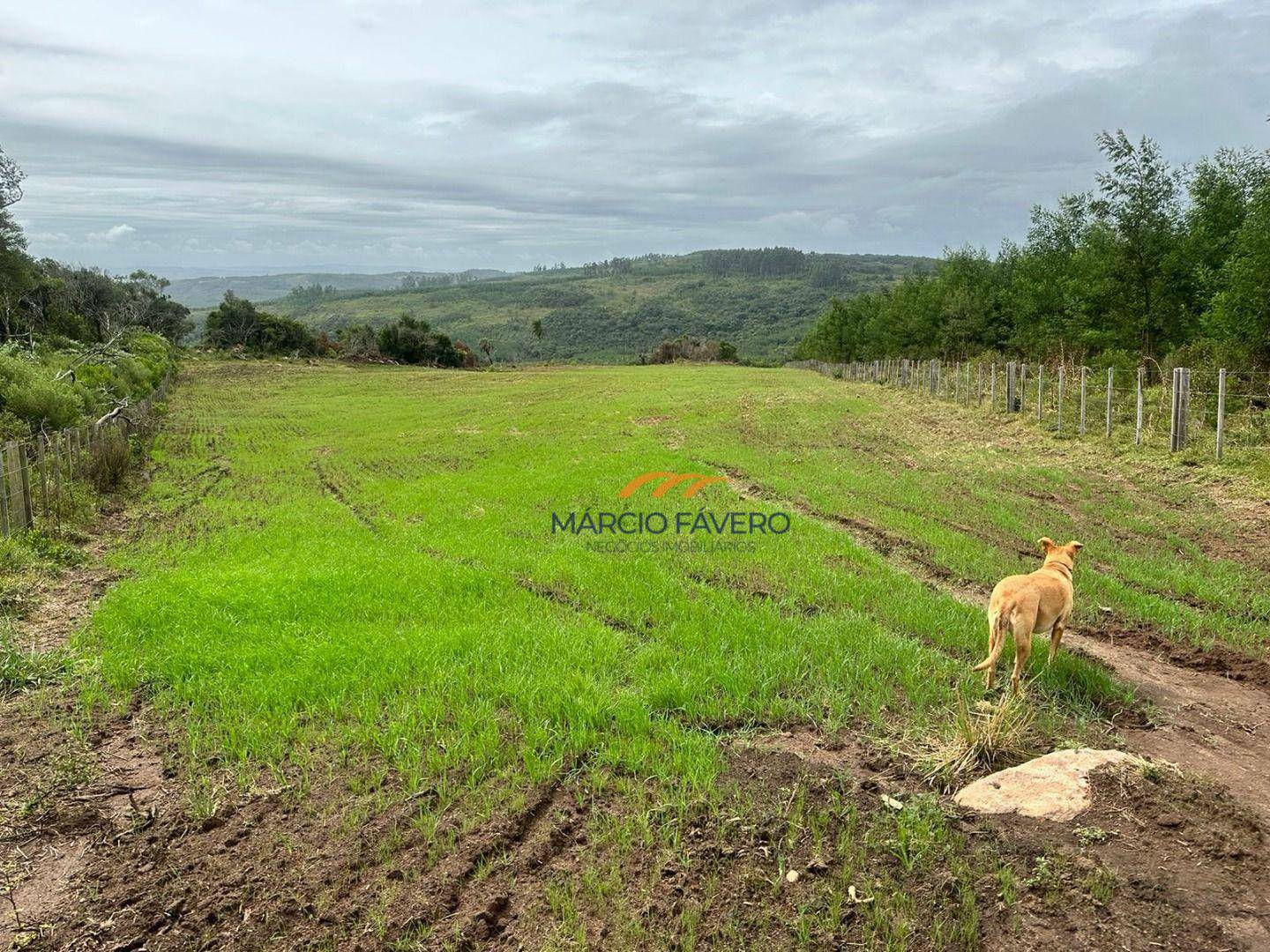 Fazenda à venda, 1065000M2 - Foto 37