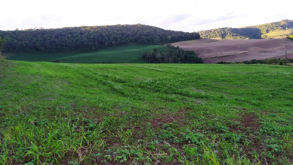 Fazenda à venda, 17m² - Foto 15