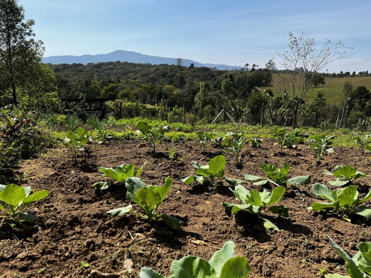 Fazenda à venda, 6300m² - Foto 33