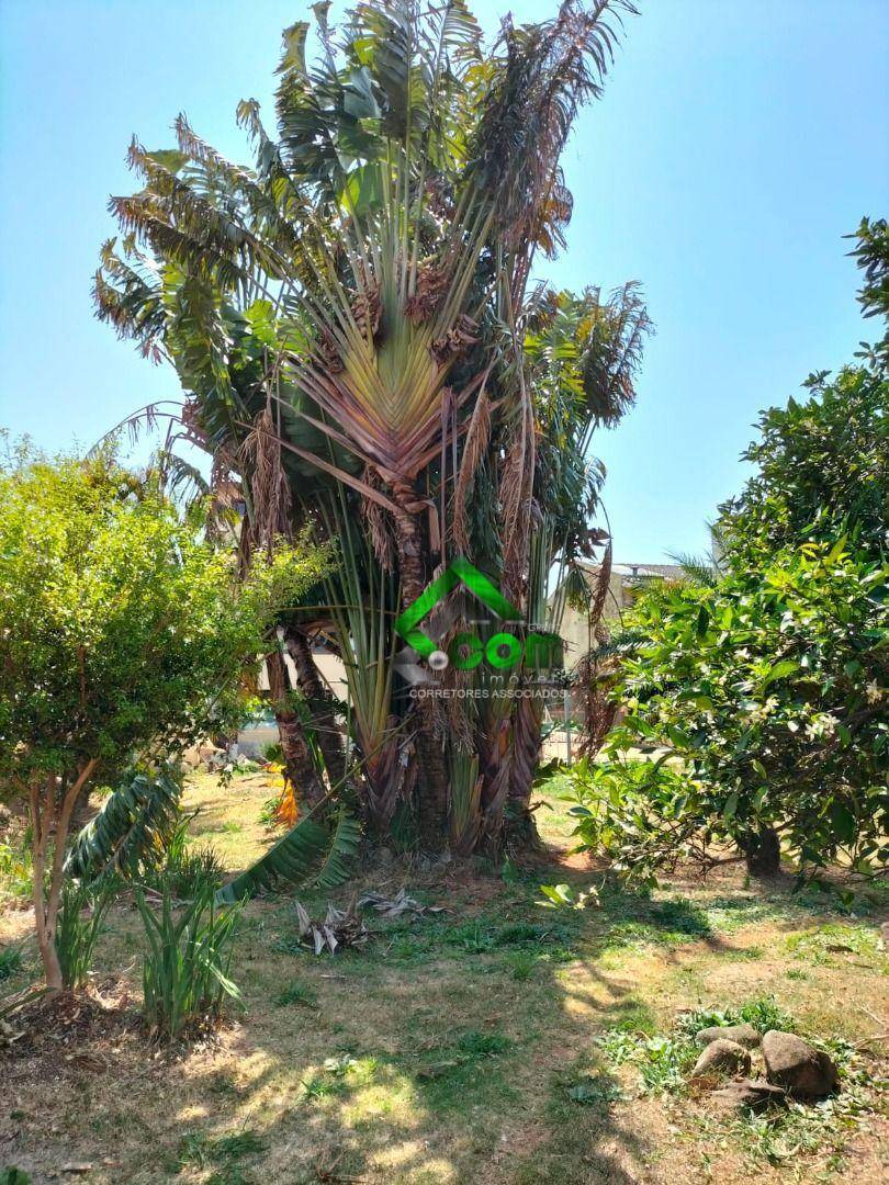 Terreno, 460 m² - Foto 4