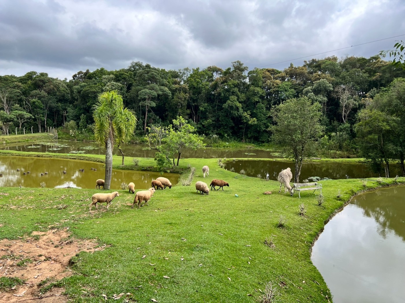 Fazenda à venda, 24200m² - Foto 7