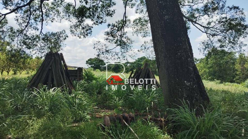 Sítio à venda, 242000M2 - Foto 7