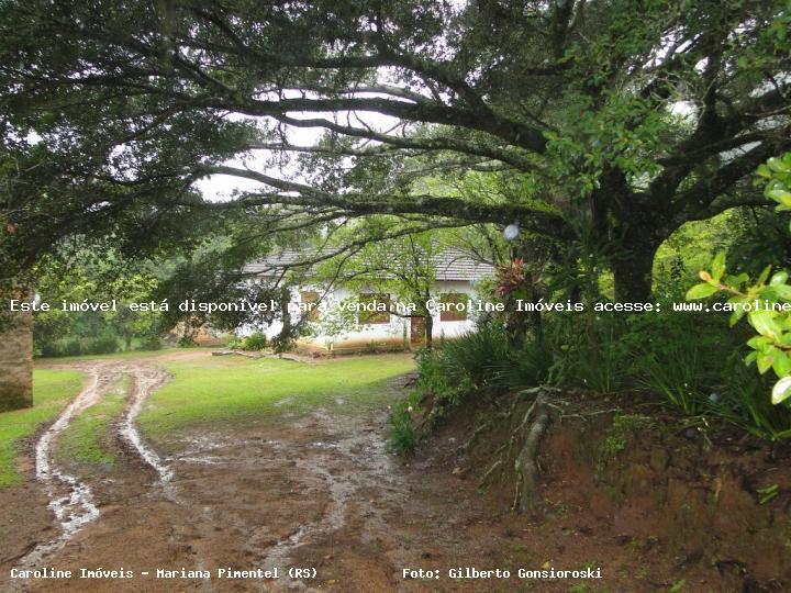 Fazenda à venda com 3 quartos, 6m² - Foto 1