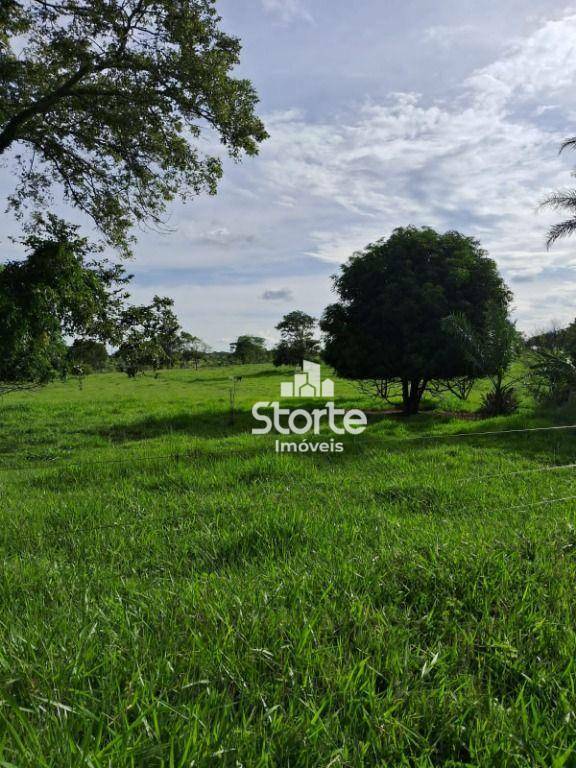 Fazenda à venda, 847000M2 - Foto 1