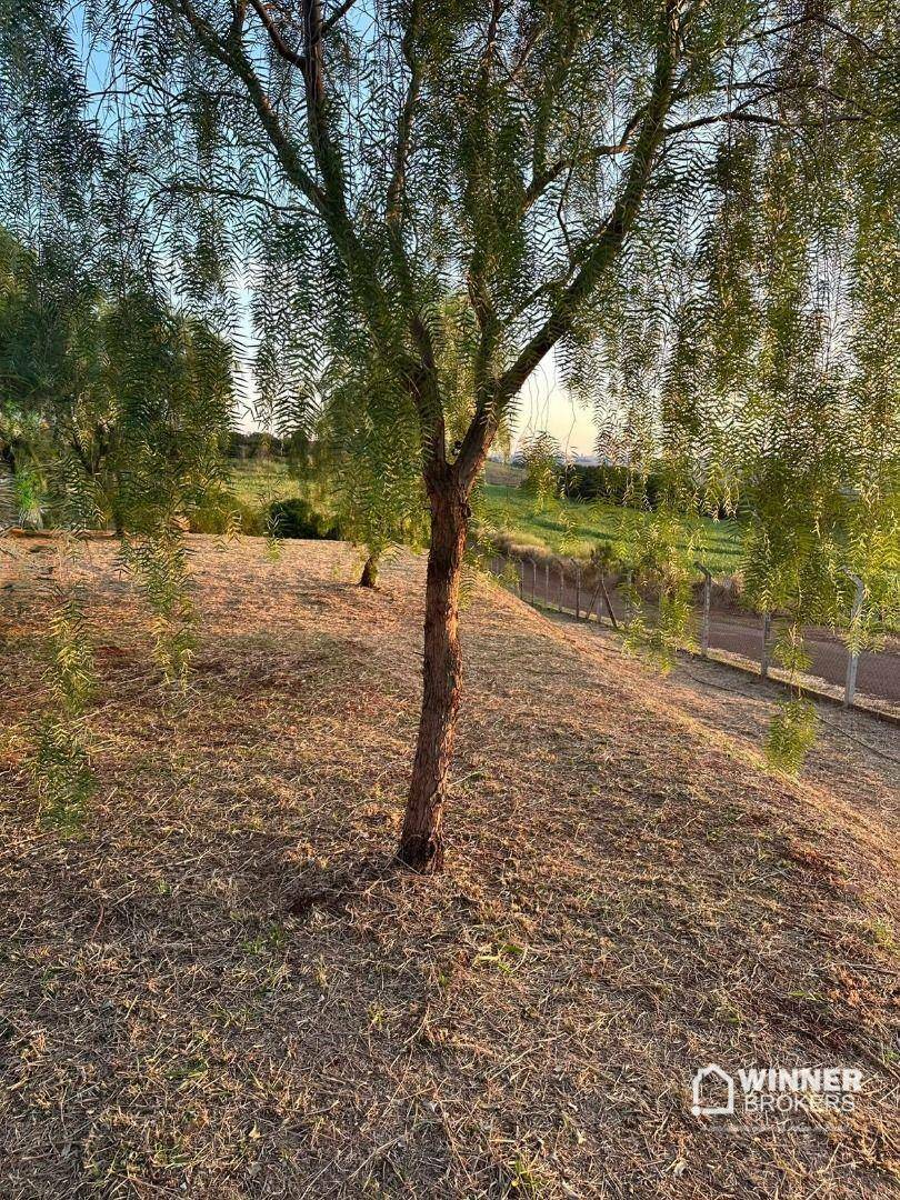 Terreno à venda, 2000M2 - Foto 7