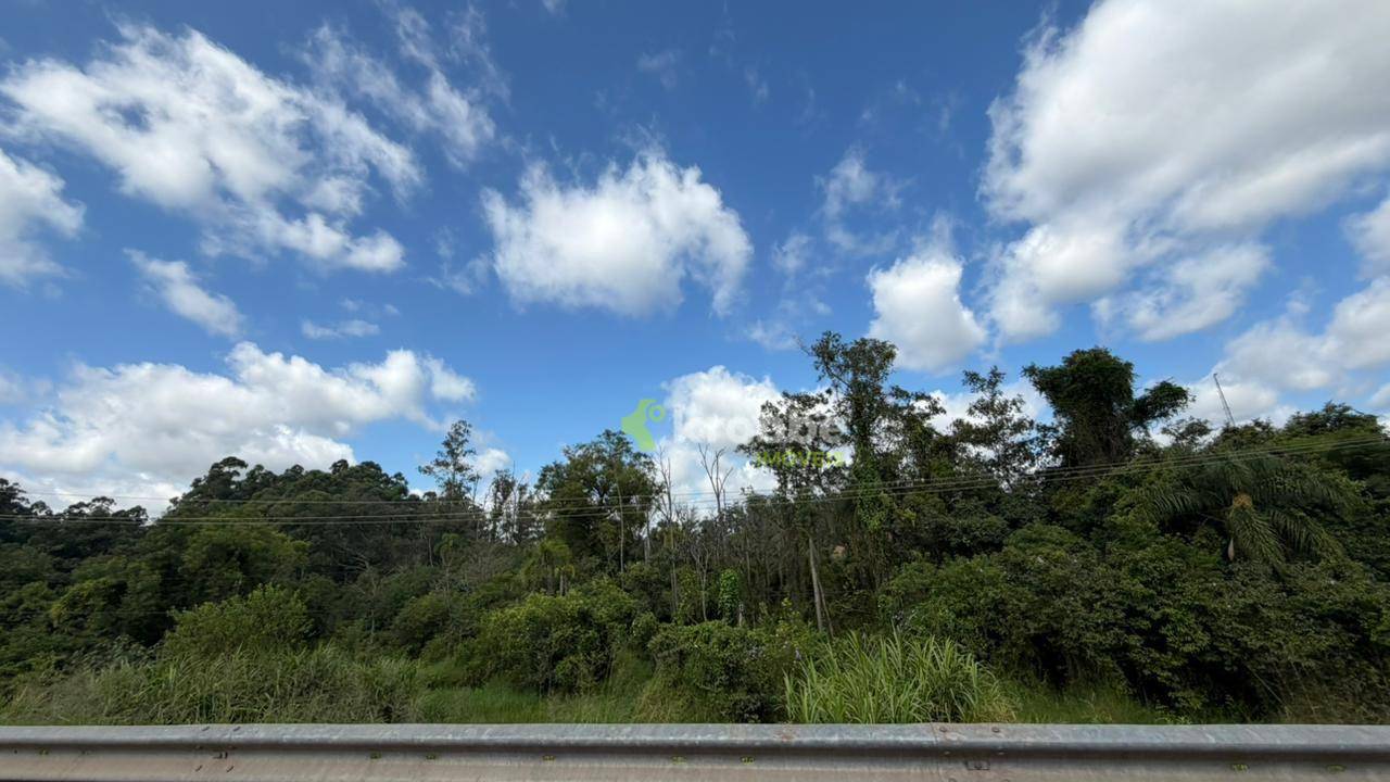 Terreno, 2 hectares - Foto 3