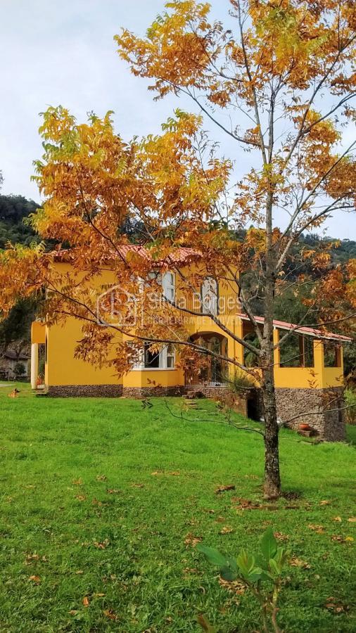 Fazenda à venda, 6900m² - Foto 18