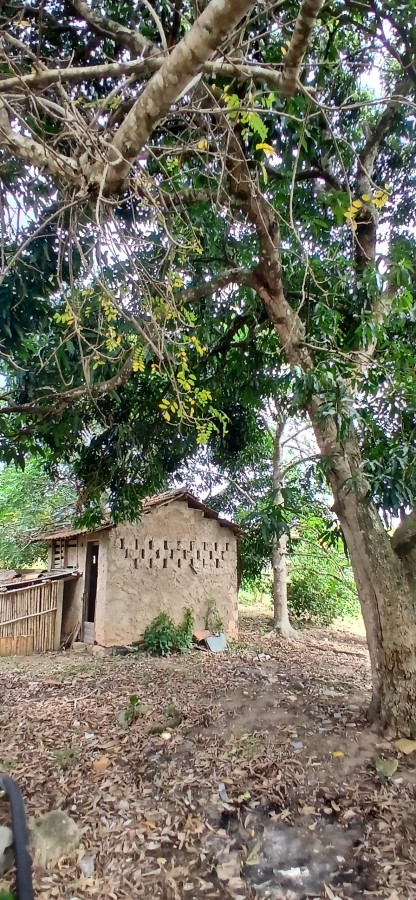 Sítio à venda com 3 quartos, 67000m² - Foto 40