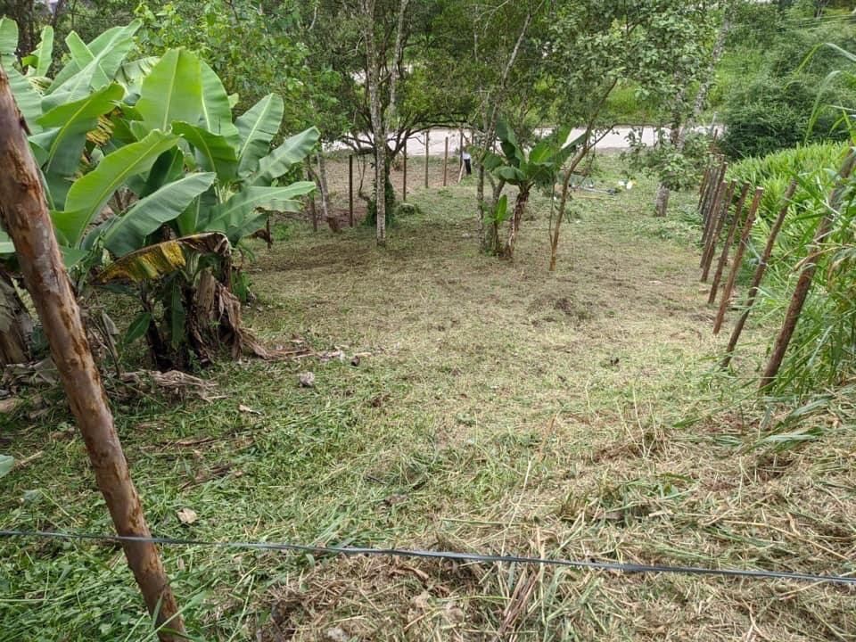 Terreno à venda, 282m² - Foto 3