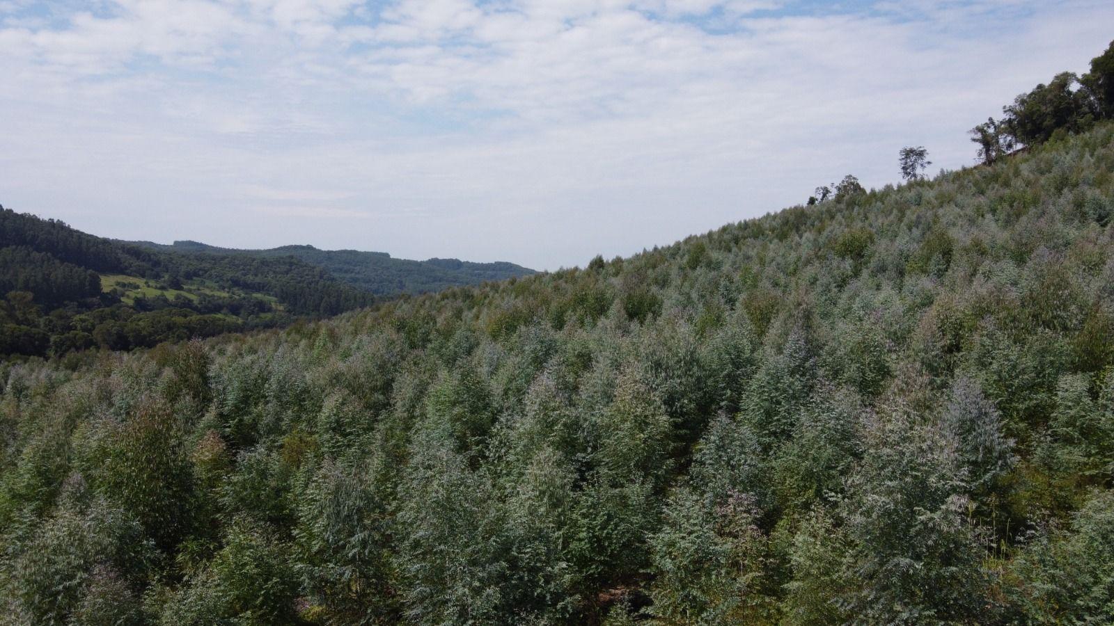 Terreno à venda, 170000m² - Foto 10