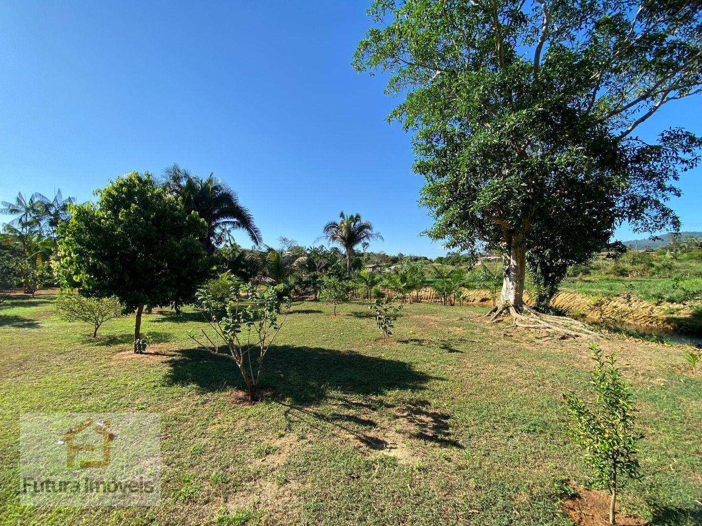 Chácara à venda com 3 quartos, 6000M2 - Foto 38