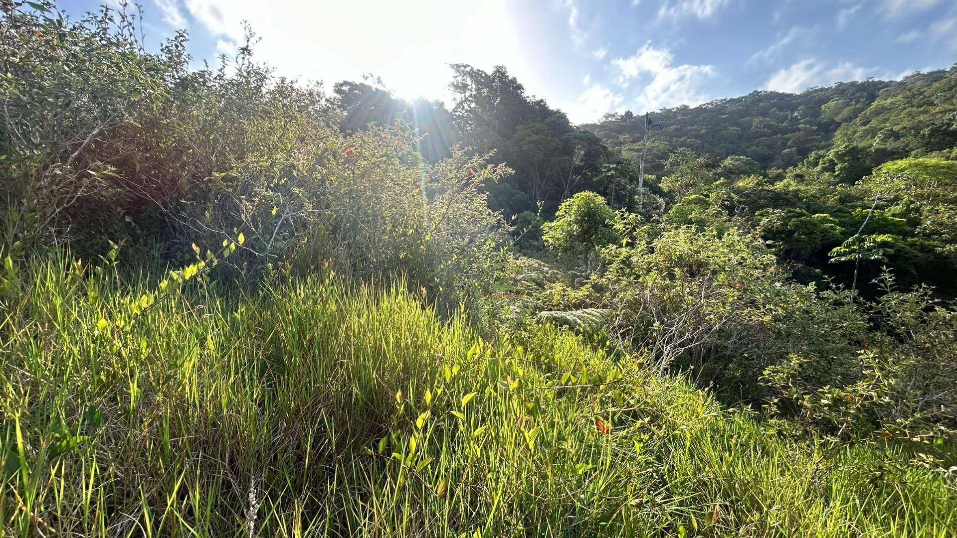 Terreno, 14 m² - Foto 8