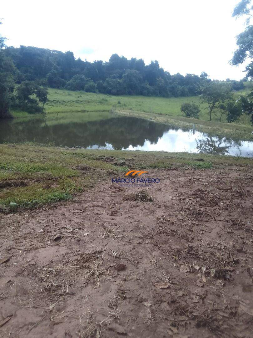 Fazenda, 102 hectares - Foto 3