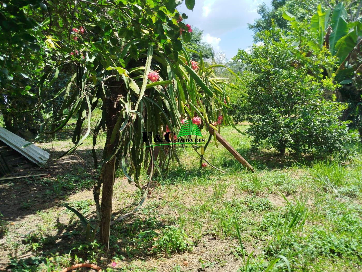 Chácara à venda com 4 quartos, 11200m² - Foto 10