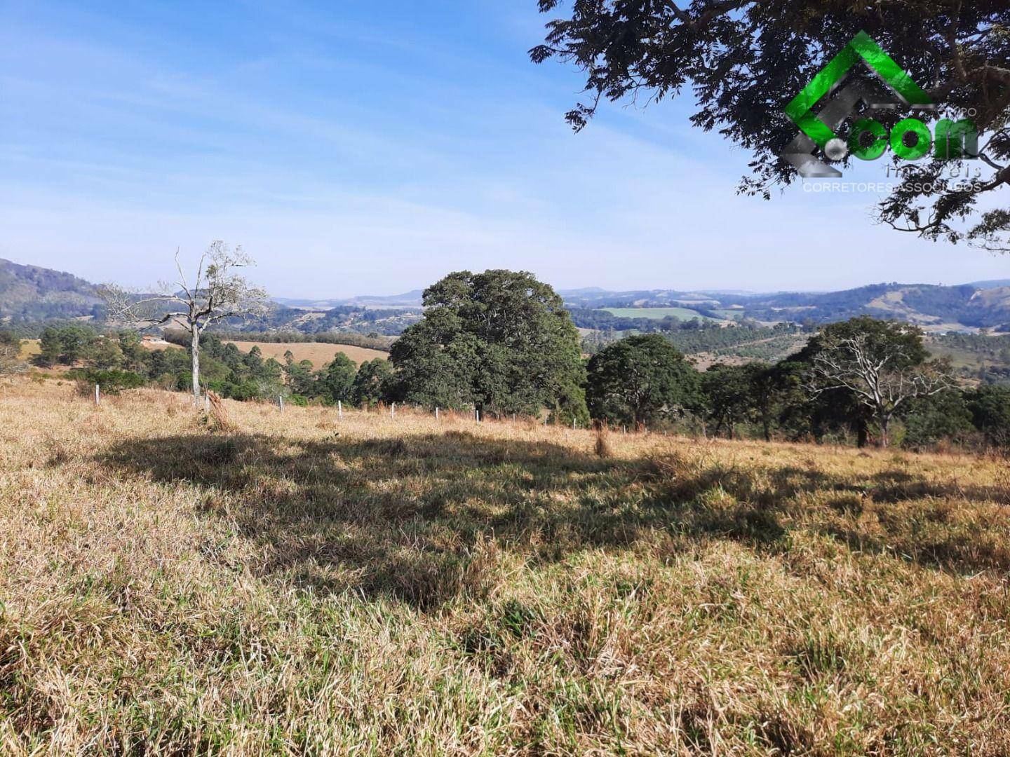 Terreno à venda, 20000M2 - Foto 17