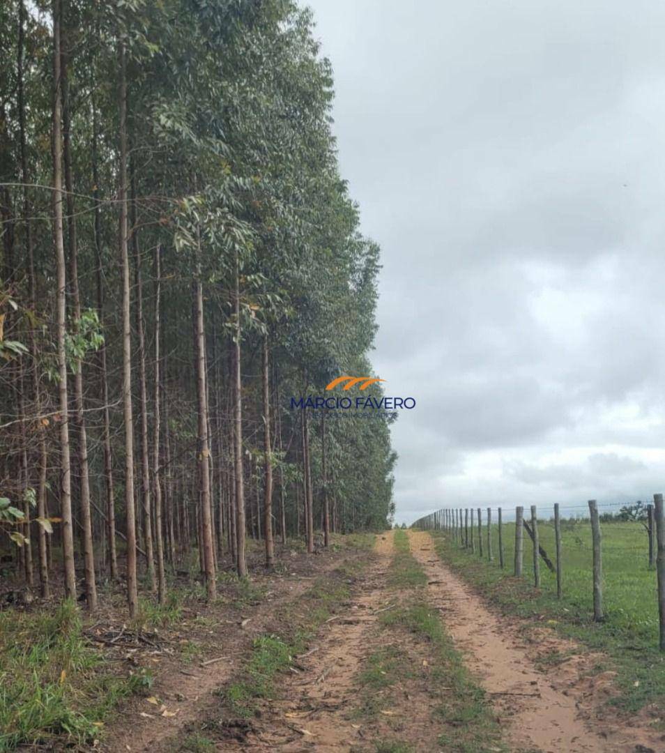 Sítio, 62 hectares - Foto 4