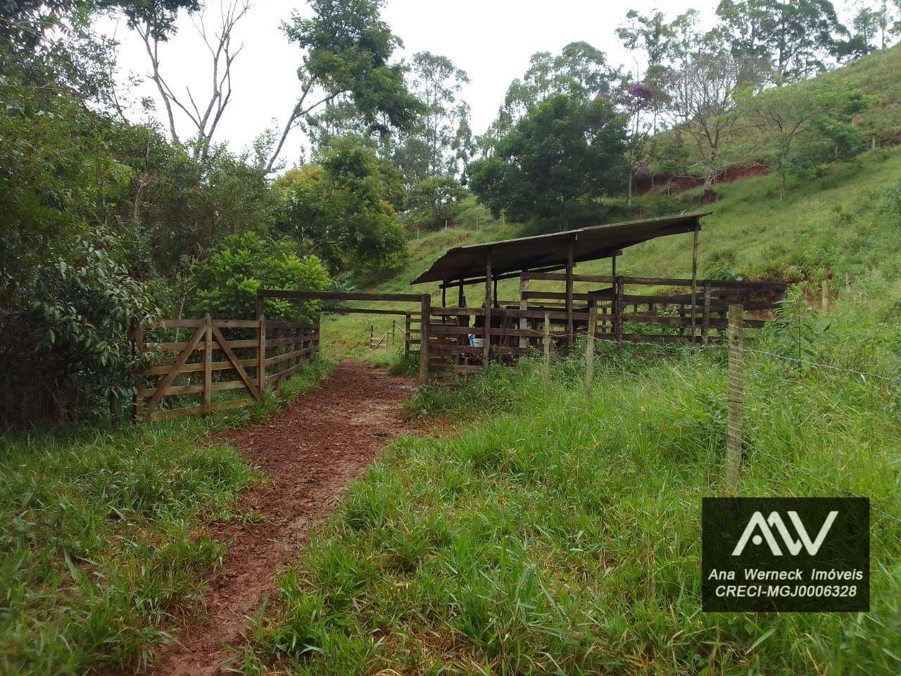 Chácara à venda com 1 quarto, 150000M2 - Foto 1