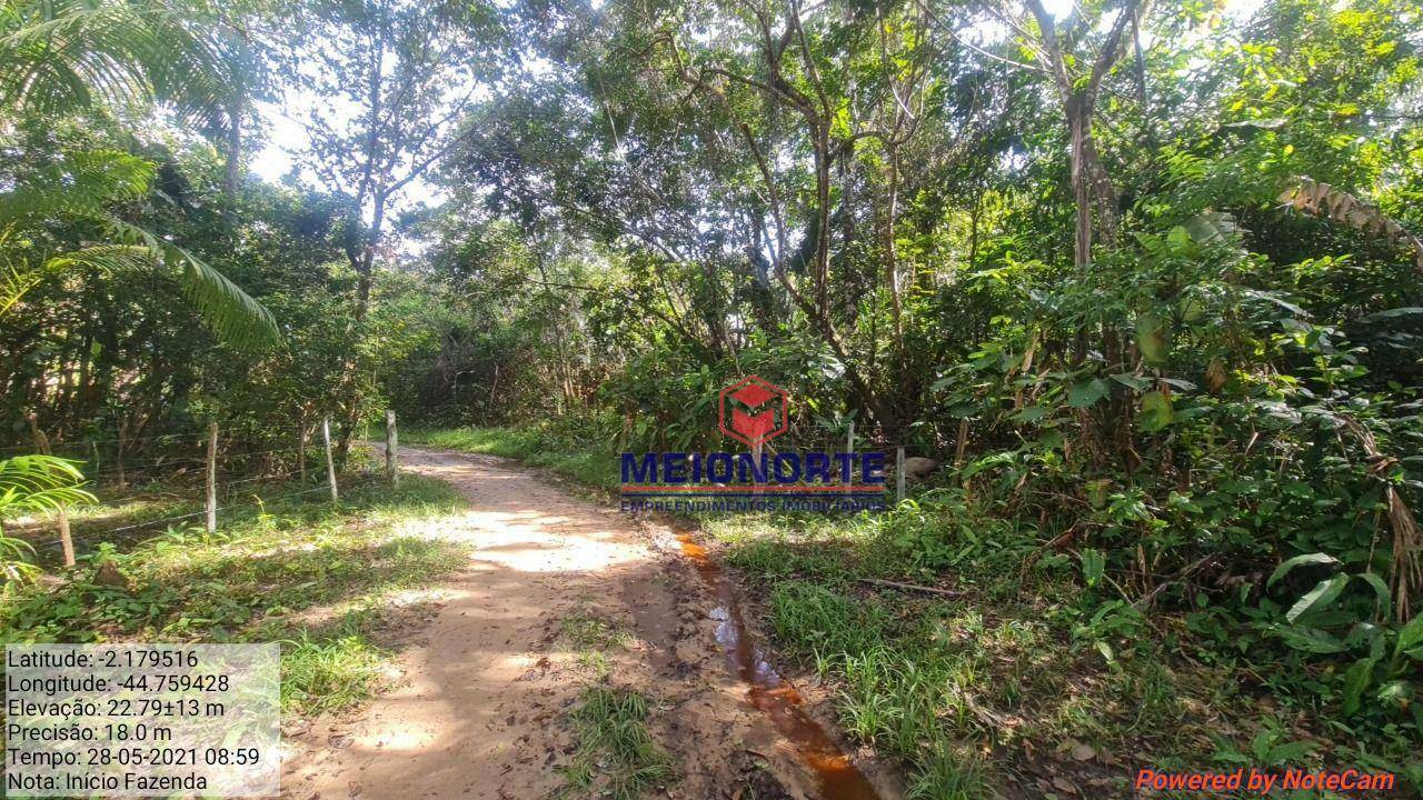 Fazenda-Sítio-Chácara, 2019 hectares - Foto 2