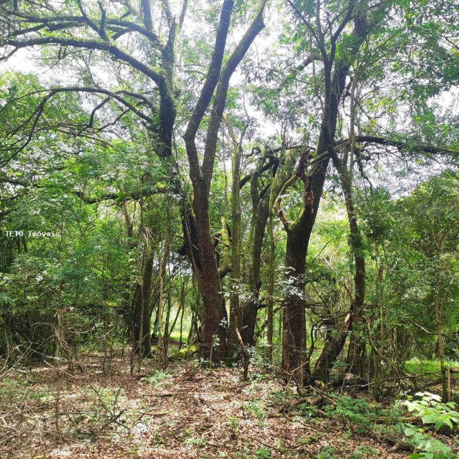 Loteamento e Condomínio à venda, 25000m² - Foto 6