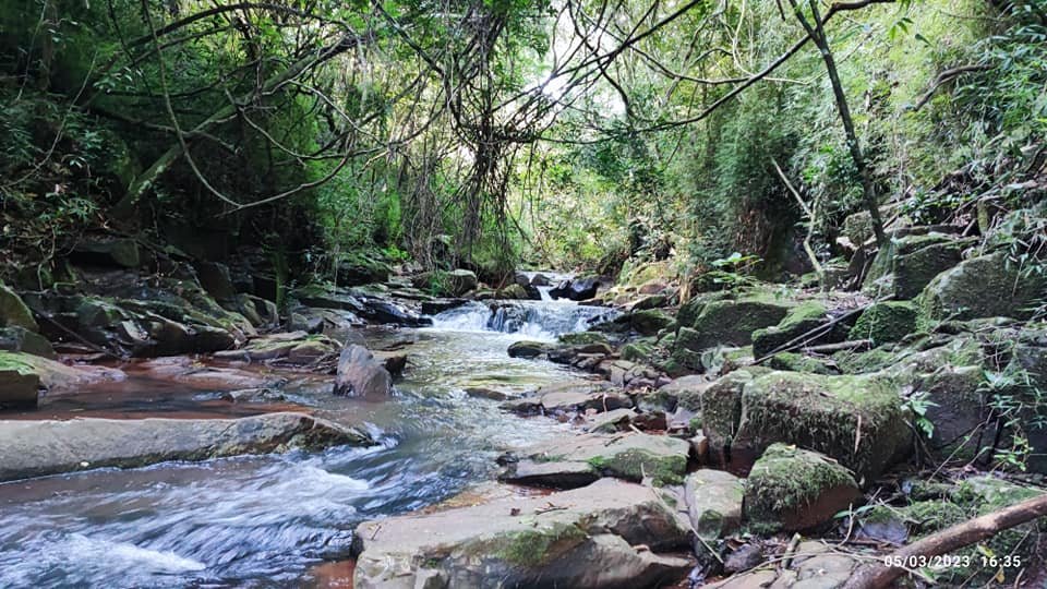 Fazenda à venda com 3 quartos, 17000m² - Foto 4