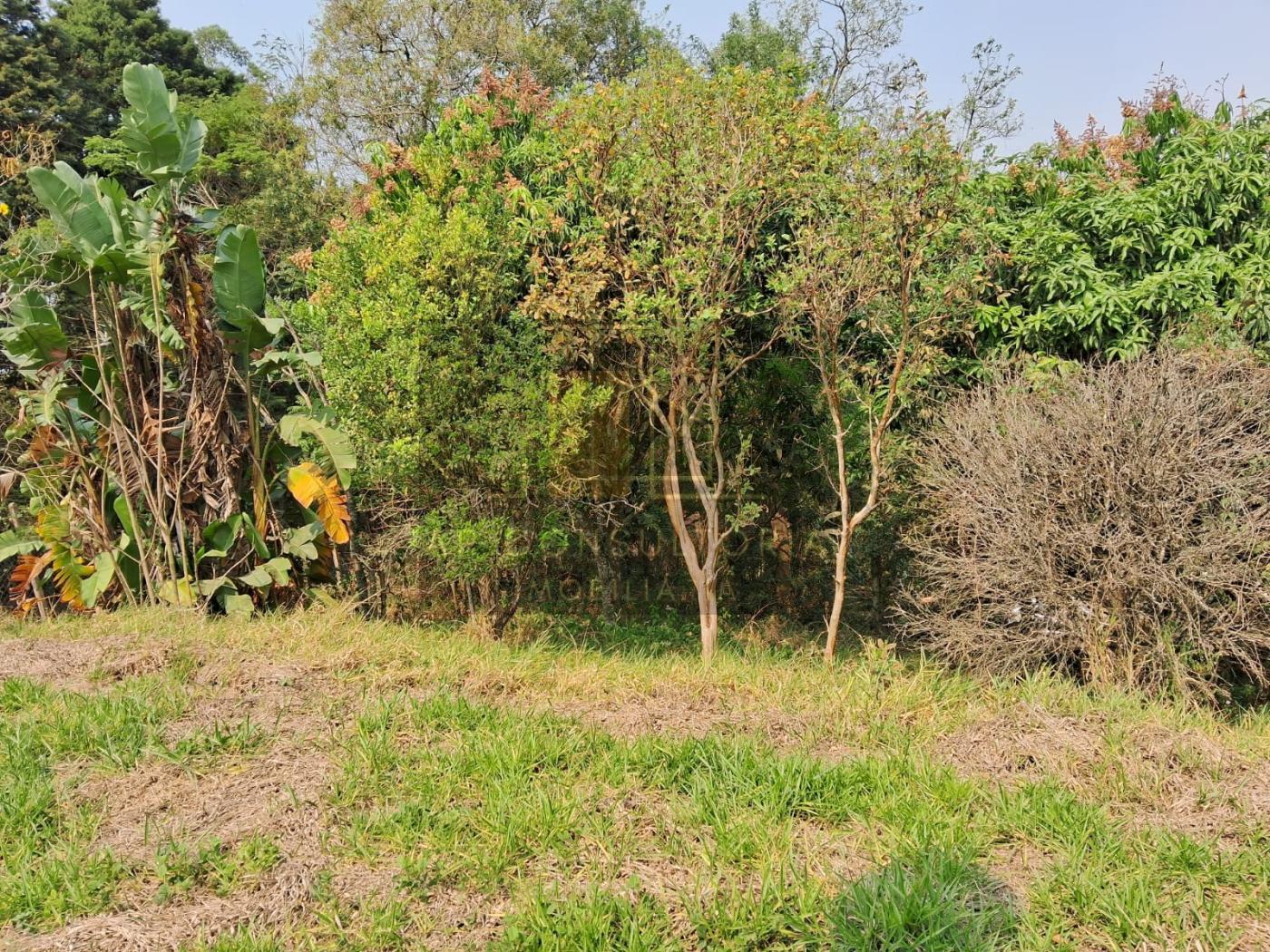 Fazenda à venda, 2500m² - Foto 8