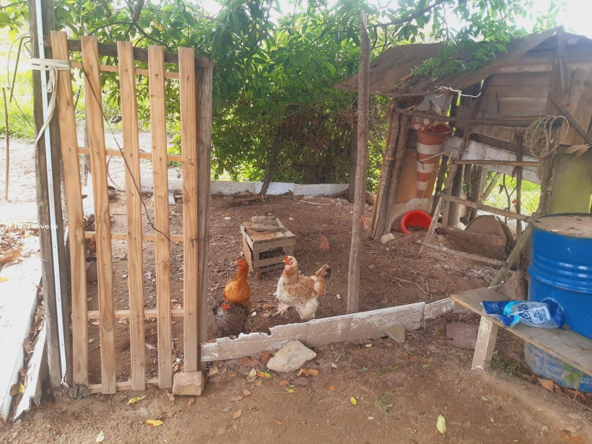 Sítio à venda com 3 quartos, 2579m² - Foto 6