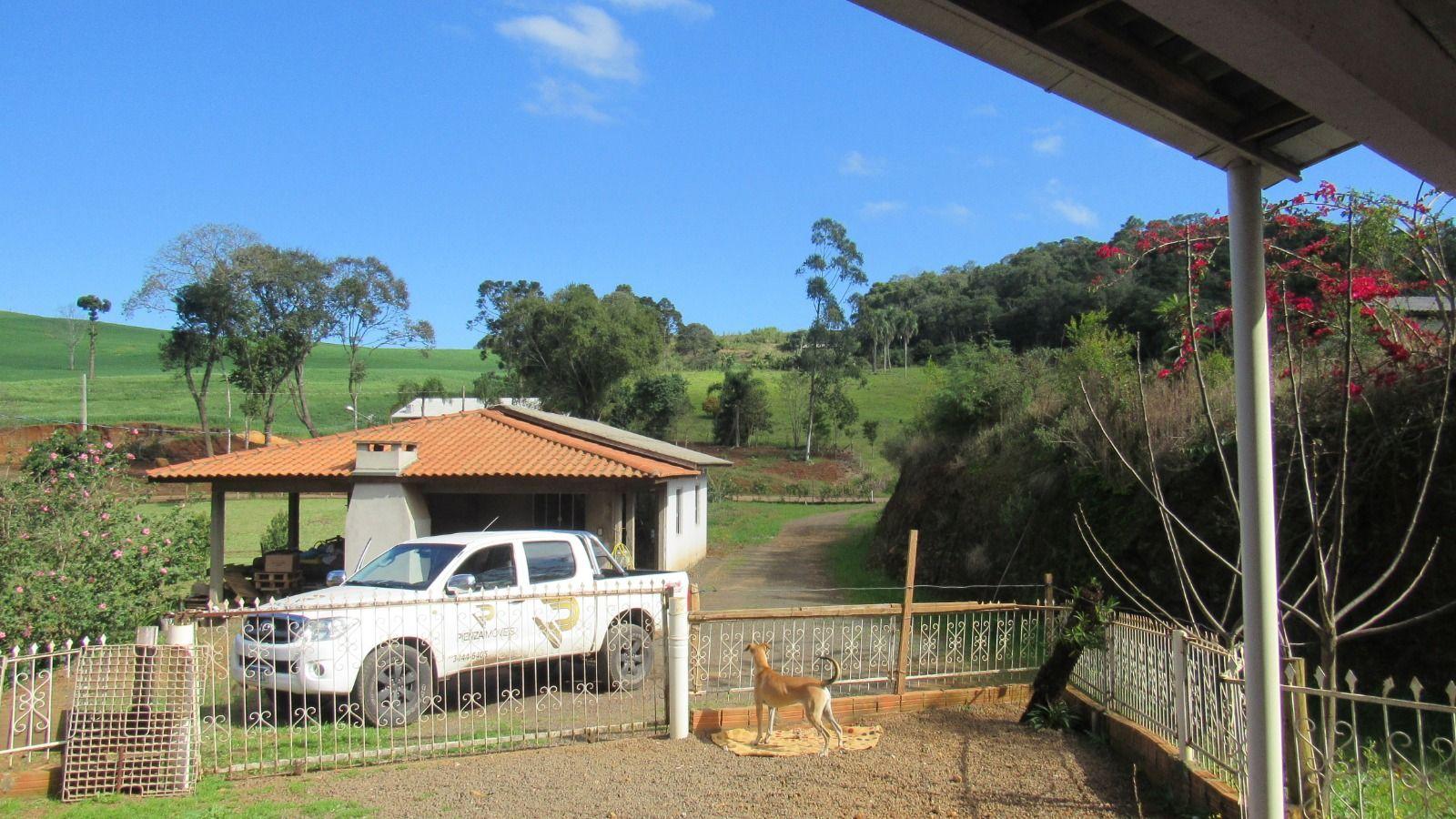 Casa à venda com 3 quartos, 3500m² - Foto 3