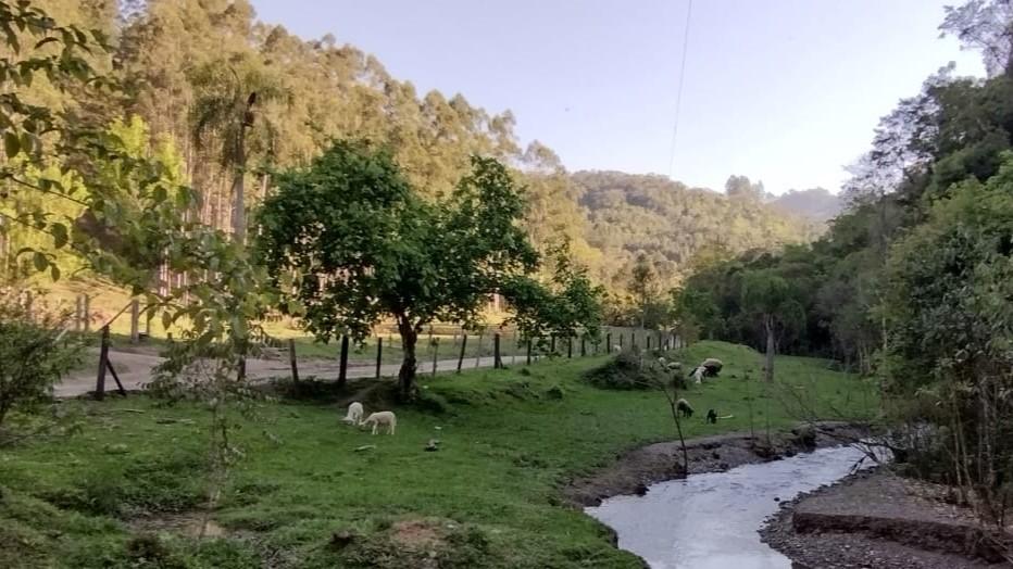 Fazenda-Sítio-Chácara, 6 hectares - Foto 4