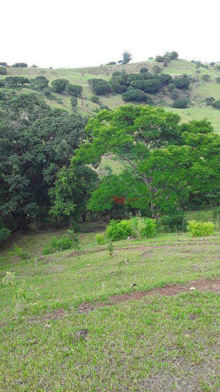 Fazenda à venda, 203M2 - Foto 4