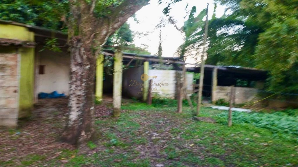 Fazenda à venda com 2 quartos, 90000m² - Foto 9
