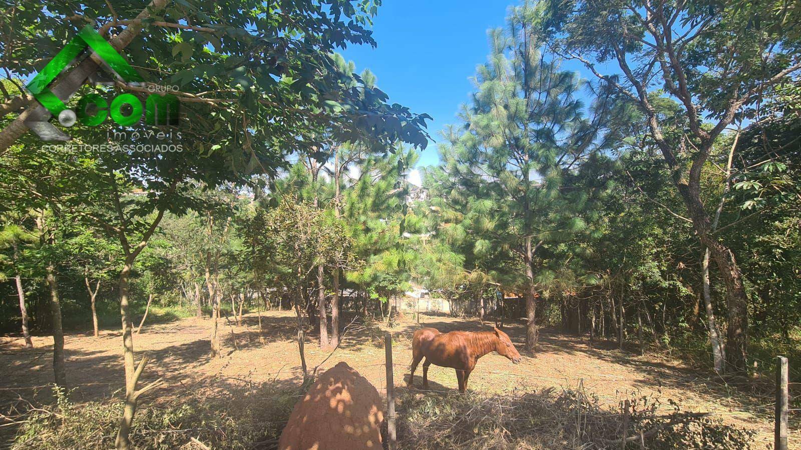 Terreno à venda, 971M2 - Foto 18