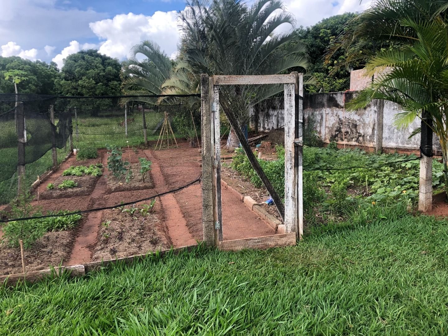 Fazenda à venda com 2 quartos, 160m² - Foto 6