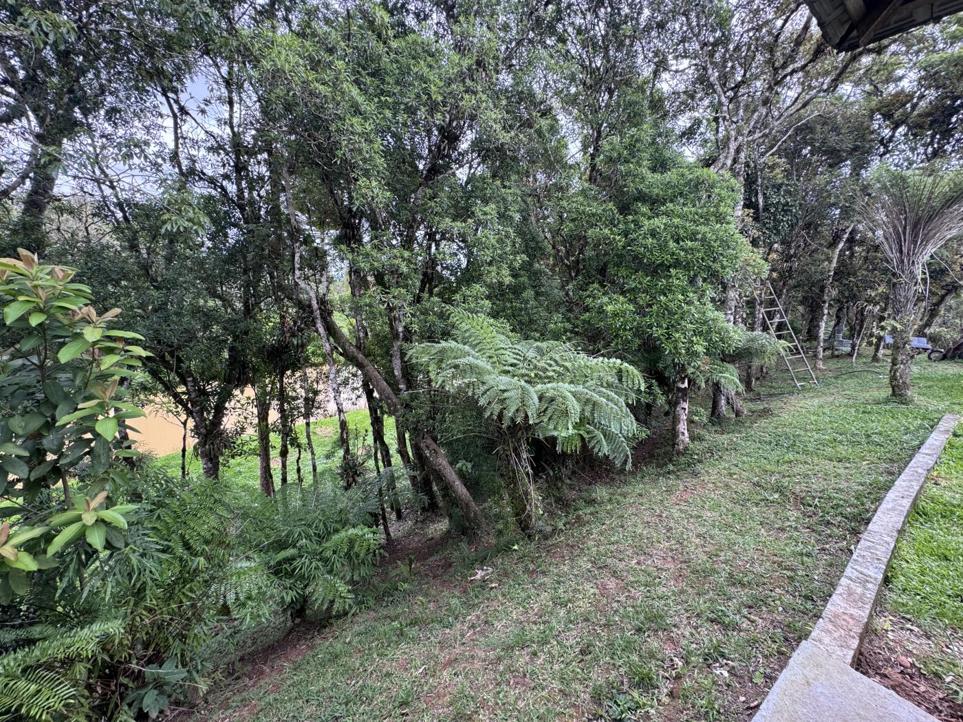 Chácara à venda com 4 quartos, 15000m² - Foto 33