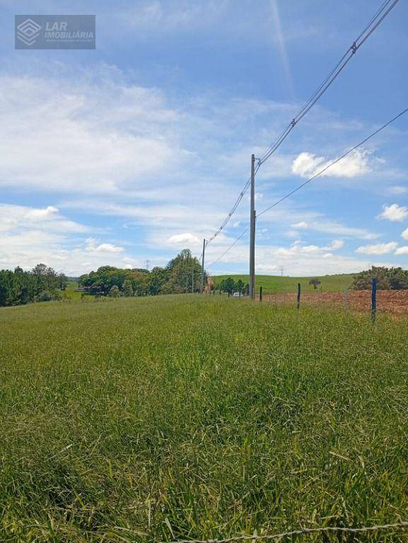 Terreno, 4 hectares - Foto 8