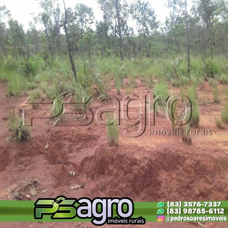 Fazenda à venda, 77070000M2 - Foto 5